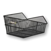 Basil Cento Basil Cento