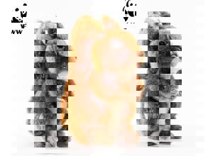 WWF Vāvere WWF Vāvere