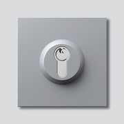 Siedle Schloss-Modul SM 611-01 Siedle Schloss-Modul SM 611-01