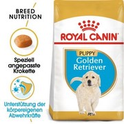 Royal Canin Golden Retriever Junior 3 kg Royal Canin Golden Retriever Junior 3 kg