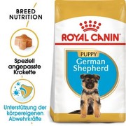 Royal Canin German Shepherd Junior 3 kg Royal Canin German Shepherd Junior 3 kg