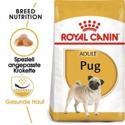 Royal Canin Mops 25 Adult 1,5 kg Royal Canin Mops 25 Adult 1,5 kg