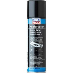 Liqui Moly 1520 vara aerosols 250 ml Liqui Moly 1520 vara aerosols 250 ml