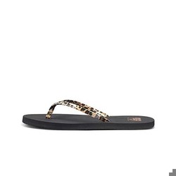 Reef Bliss Reef Bliss