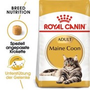 Royal Canin Adult Maine Coon 400 g Royal Canin Adult Maine Coon 400 g