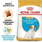 Royal Canin Jack Russel Junior 1,5 kg Royal Canin Jack Russel Junior 1,5 kg