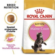 Royal Canin Kitten Maine Coon 36 4 kg Royal Canin Kitten Maine Coon 36 4 kg