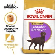 Royal Canin Sterilizēts Labradoru retrīvers pieaugušais 12 kg Royal Canin Sterilizēts Labradoru retrīvers pieaugušais 12 kg