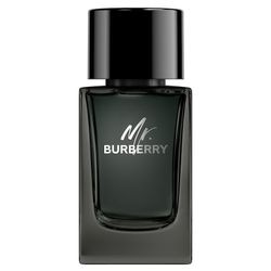 Burberry Mr. Burberry Parfimērijas ūdens 100 ml Burberry Mr. Burberry Parfimērijas ūdens 100 ml