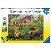 Ravensburger Atklājējs uz četrām ķepām Ravensburger Atklājējs uz četrām ķepām