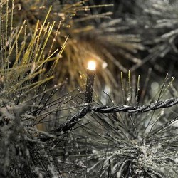 Konstsmide LED Lichterkette 400 (6544) Konstsmide LED Lichterkette 400 (6544)