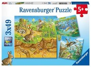 Ravensburger Dzīvnieki savās dzīvesvietās Ravensburger Dzīvnieki savās dzīvesvietās