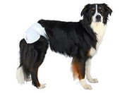 Trixie Windeln für Hündinnen 38 - 56 cm 12 gab. Trixie Windeln für Hündinnen 38 - 56 cm 12 gab.