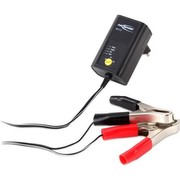 Ansmann ALCS2-12/0.4 Ansmann ALCS2-12/0.4