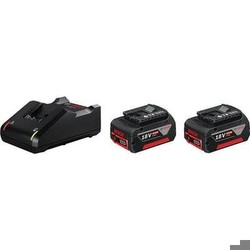 Bosch 2 x GBA 18V 4.0Ah + GAL 18V-40 Professional (1600A019S0) Bosch 2 x GBA 18V 4.0Ah + GAL 18V-40 Professional (1600A019S0)