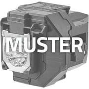 Epson ELPLP92 Epson ELPLP92