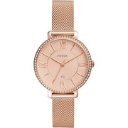 Fossil Jaqueline (ES4628) Fossil Jaqueline (ES4628)