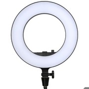 Godox LR 180 Godox LR 180