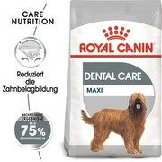 Royal Canin Dental Care Maxi 9 kg Royal Canin Dental Care Maxi 9 kg