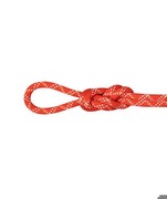 Mammut 9.5 Gym Classic Rope 40 m Mammut 9.5 Gym Classic Rope 40 m