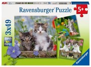 Ravensburger Süße Samtpfötchen Bērnu puzle Ravensburger Süße Samtpfötchen Bērnu puzle