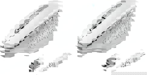 Trust Ozaa Trust Ozaa