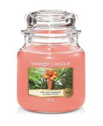 Yankee Candle The Last Paradise smaržsvece 411 g Yankee Candle The Last Paradise smaržsvece 411 g
