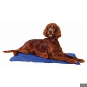 Trixie Kühlmatte XL-XXL 100 x 60 cm Trixie Kühlmatte XL-XXL 100 x 60 cm