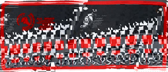 BGS Ratschenring-Maulschlüssel-Satz (30003) BGS Ratschenring-Maulschlüssel-Satz (30003)