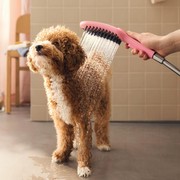 Hansgrohe DogShower 150 3jet Select (26640560) Hansgrohe DogShower 150 3jet Select (26640560)