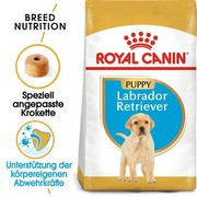 Royal Canin Labrador Retriever kucēns 3 kg Royal Canin Labrador Retriever kucēns 3 kg