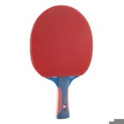 Joola Rossi Junior Pro Joola Rossi Junior Pro