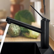 Hansgrohe Zesis M33 Vienasviras virtuves jaucējkrāns (74802670) Hansgrohe Zesis M33 Vienasviras virtuves jaucējkrāns (74802670)