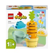 LEGO Duplo Augoša Burkāns (10981) LEGO Duplo Augoša Burkāns (10981)