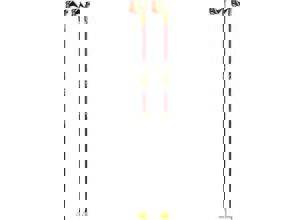 Leki PRC 750 Leki PRC 750