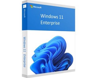 Microsoft Windows 11 Enterprise Microsoft Windows 11 Enterprise