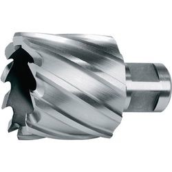 Ruko HSS-Co 5 ComPact Ø 31 mm (108231E) Ruko HSS-Co 5 ComPact Ø 31 mm (108231E)