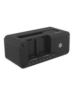 RaidSonic Icy Box IB-2924MSCL-C31 RaidSonic Icy Box IB-2924MSCL-C31