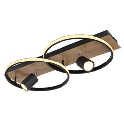 Globo Danny griestu lampa (67309-36) Globo Danny griestu lampa (67309-36)