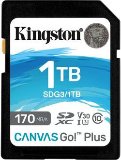 Kingston Canvas Go! Plus Class 10 1TB (SDG3/1TB) Kingston Canvas Go! Plus Class 10 1TB (SDG3/1TB)