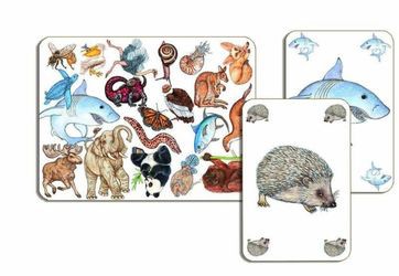 Djeco Zanimatch Djeco Zanimatch