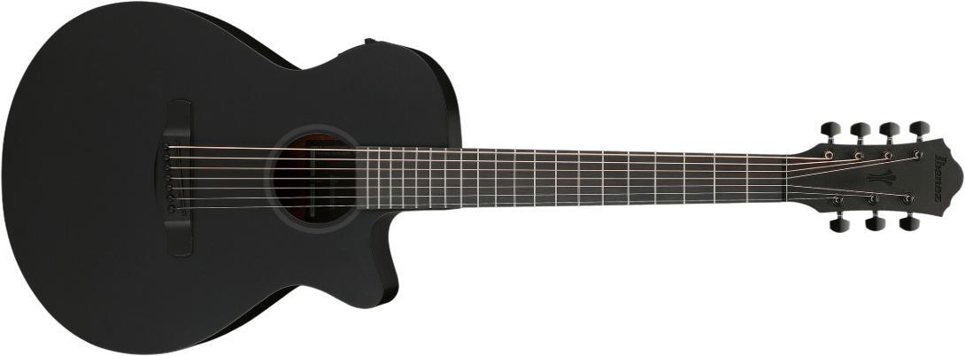 Ibanez AEG721-BOT Ibanez AEG721-BOT