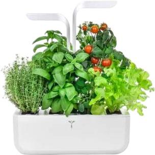 Veritable Classic Indoor Veritable Classic Indoor