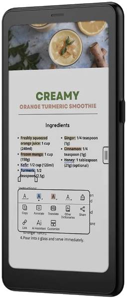 Onyx Boox Palma 2 Pro Onyx Boox Palma 2 Pro