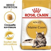 Royal Canin Pieaudzis Maine Coon 2 kg Royal Canin Pieaudzis Maine Coon 2 kg