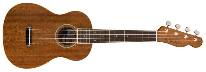 Fender Zuma Fender Zuma