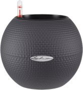 Lechuza Puro Color 20 Lechuza Puro Color 20