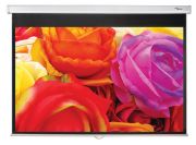 Optoma DS-1123PMG+ Optoma DS-1123PMG+