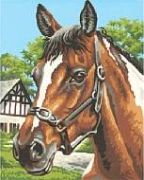 Schipper Zirga portrets Schipper Zirga portrets