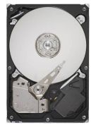 Seagate Barracuda 7200.12 500GB (ST3500413AS) Seagate Barracuda 7200.12 500GB (ST3500413AS)